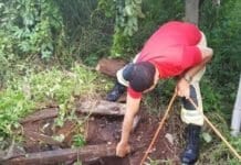 Boi cai dentro de poço de propriedade rural e é retirado pelos bombeiros