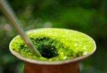 Queda de preço leva agricultor do RS a arrancar pés de erva do chimarrão