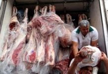 Deputados protocolam requerimento para criar CPI da Carne