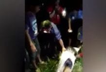 Desaparecido, homem é encontrado dentro de Píton gigante na Indonésia