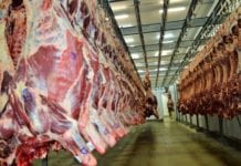 Reabertura da importação de carne por Hong Kong traz otimismo à cadeia produtiva de Rondônia