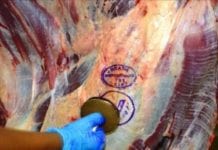 JBS suspende produção de carne bovina em 33 das 36 fábricas