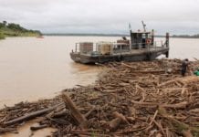 Cerca de 50 toneladas de troncos de árvores são retiradas por dia do cais no porto público de Porto Velho