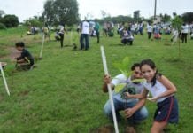 ARBORIZAÇÃO – Prefeitura lança programa de arborização Cidade + Verde