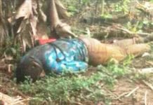 Após chacina em Colniza (MT), Brasil já tem ao menos 19 mortes no campo em 2017
