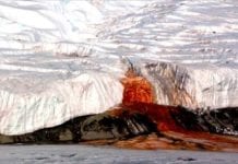 Cientistas descobrem origem de ‘cachoeira de sangue’ na Antártida