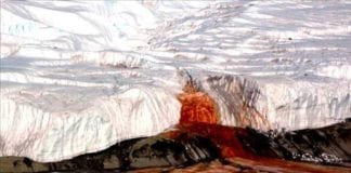Cientistas descobrem origem de ‘cachoeira de sangue’ na Antártida