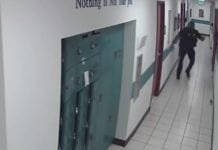 Câmera flagra policial fugindo de rato em delegacia nos EUA; assista!
