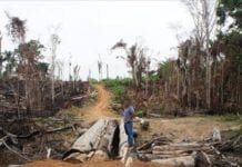 MPF/RO recomenda à Funai que autorize a recuperação de estradas na terra indígena Kaxarari