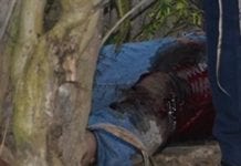 Foragido da Justiça é morto a tiros enquanto caminhava na rua