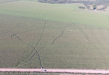 Agrônomo some após deixar ‘sinais’ em lavoura em MT