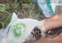 Mãe é suspeita de forçar adolescente a abortar no quinto mês de gestação