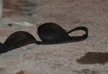 Antes de ser degolado, jovem presenciou namorada ser estuprada
