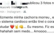 Estudante retira coração de cadela morta para estudar e é punida