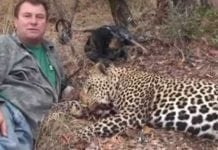 Caçador acaba esmagado por elefante que queria matar