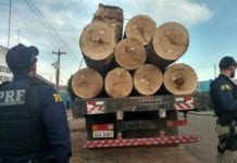 PRF prende motorista por transporte ilegal de madeira na BR-364