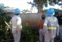 Rapaz sofre descarga elétrica durante poda de árvore