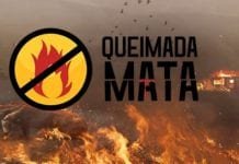 QUEIMADA MATA!