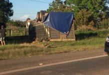 BR-364:Grave acidente envolvendo caminhão boiadeiro e carreta