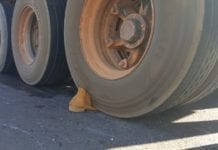 Homem morre atropelado por carreta na cabeceira da ponte em Ji-Paraná, RO