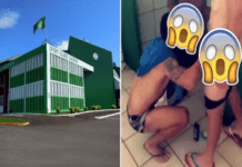 Clube gaúcho demite jogadores após masturbação coletiva no vestiário