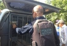 Homem é preso por agredir e estuprar a esposa em Nova Mutum, RO