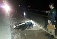 Condutor de Hilux atropela motociclista e foge deixando placa de seu veículo para trás