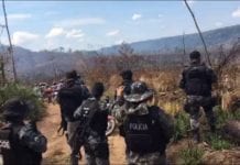 Suspeito de desmatar e lotear área de proteção ambiental é preso em operação policial em RO