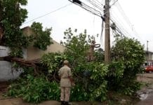 TEMPORAL: Chuva causa destruição em Porto Velho