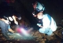 Corpo de criança é encontrado no Rio Machado na RO-479