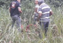 DESOVADO: Corpo com vários golpes de faca é encontrado à beira de estrada