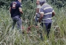 Jovem é morto com várias facadas e assassinos mandam vídeo de execução à família