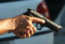 Comissão aprova empréstimo de arma de fogo pelo poder público para garantir defesa ao cidadão