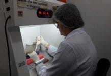 Pesquisa busca identificar se mutações interferem na evolução clínica de pacientes com vírus delta em RO