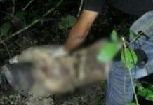 Caseiro que estava desaparecido é encontrado morto a golpes de faca