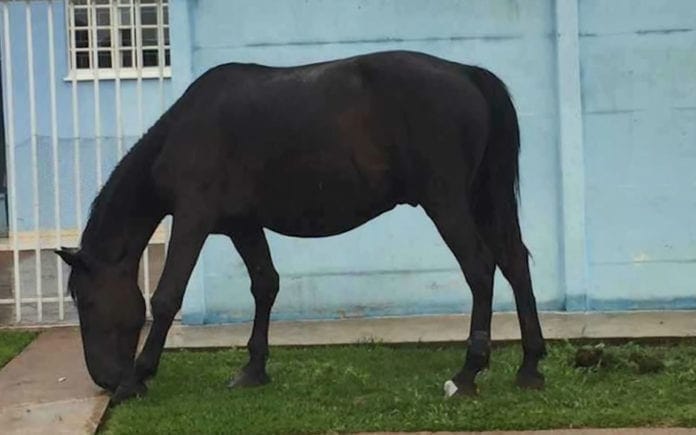 o_1c2h124unqh43lf1tmpet01kdea