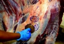 Recorde nas exportações de carne até novembro já superou em 14% o valor de 2016 em Rondônia