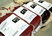 Fhemeron lança campanha para doação de sangue no carnaval
