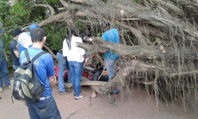 populares-tentantado-socorrer-vitima
