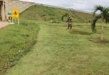 Mutirão do programa Cidade Mais Verde volta a BR-364