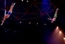 Acrobata do Cirque du Soleil morre durante apresentação – VÍDEO