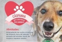 Campanha em defesa dos animais