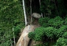 Índio morre vítima de disparo acidental em aldeia de Rondônia