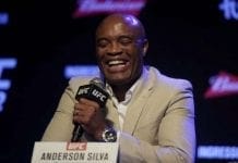 Anderson Silva aceita punição e pode voltar em novembro