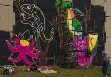 Viadutos de Porto Velho são transformados pela arte de rua através do projeto Graffizônia