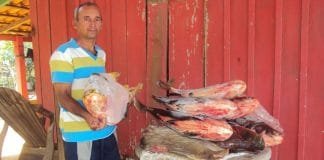 Família procura homem que desapareceu após sair para extrair castanha em mata