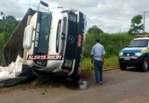 Novo Horizonte – Caminhão carregado com milho tomba na RO-010