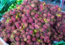Exótica, rambutan é cada vez mais apreciada pelos rondonienses e acreanos