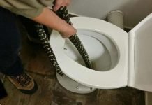 Mulher é picada por cobra ao usar vaso sanitário