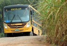 Porto Velho – Justiça autoriza novo contrato emergencial para o transporte rural terrestre
